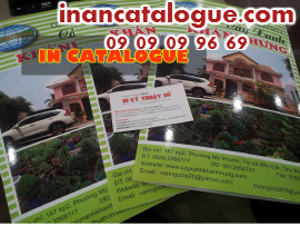 In catalogue giá rẻ HCM