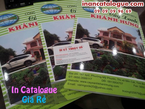 Sản phẩm in catalogue giá rẻ tại Cty TNHH In Kỹ Thuật Số - Digital Printing